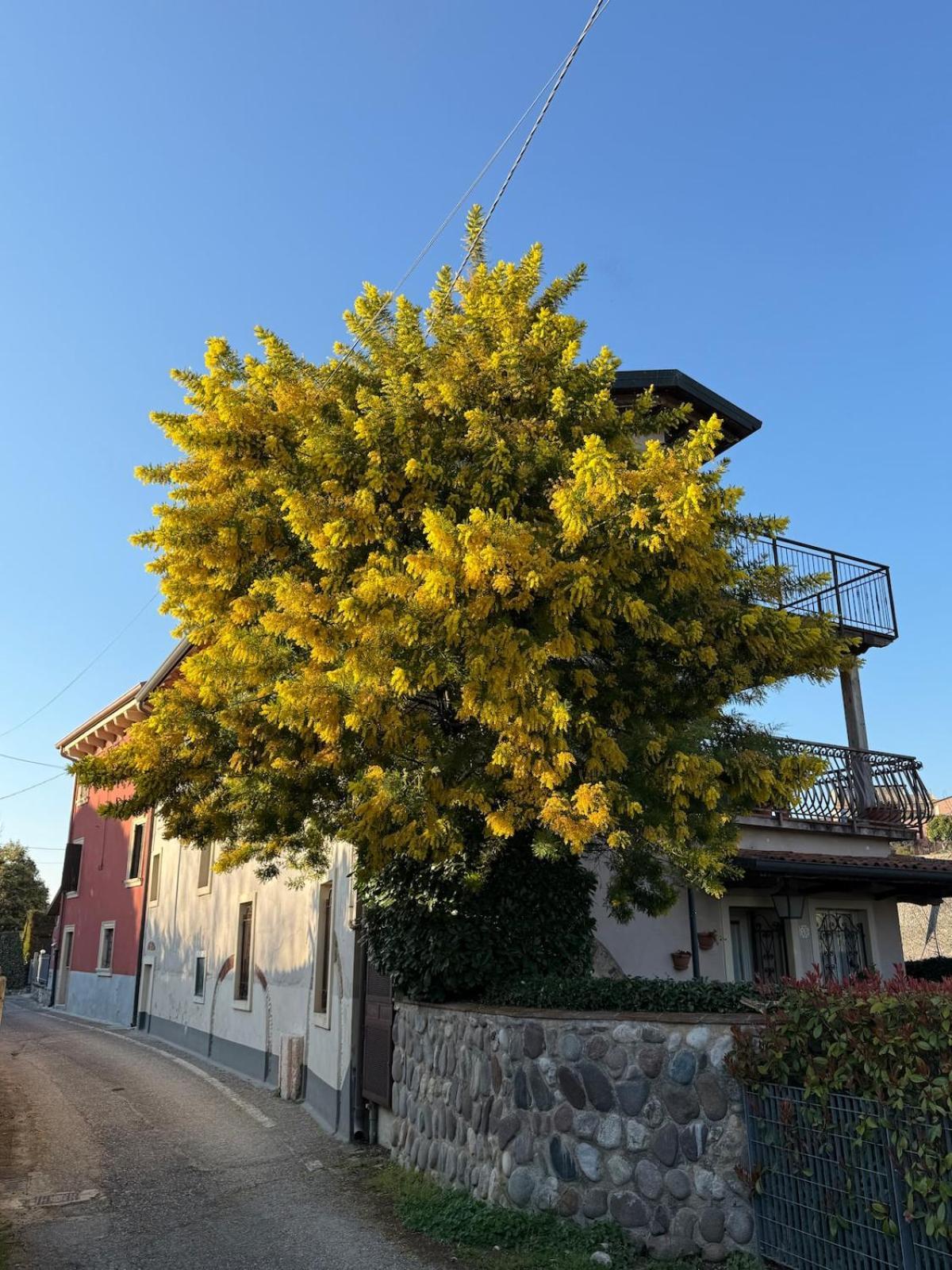 Alle Albere - Verona - Bussolengo Exterior foto